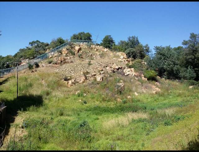 BUSINESS FOR SALE IN FLORACLIFFE